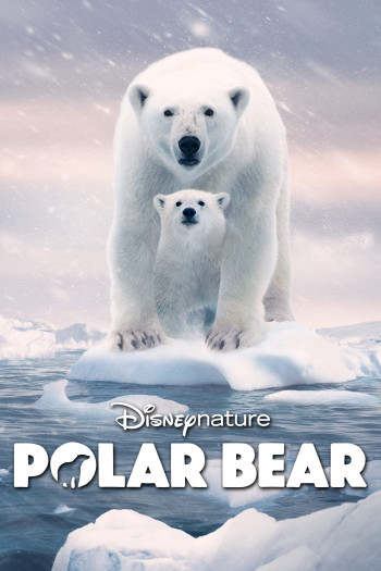 Gấu Bắc Cực - Polar Bear (2022)