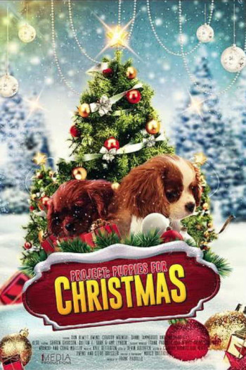 Quà Giáng Sinh Bất Ngờ - Project: Puppies for Christmas (2019)